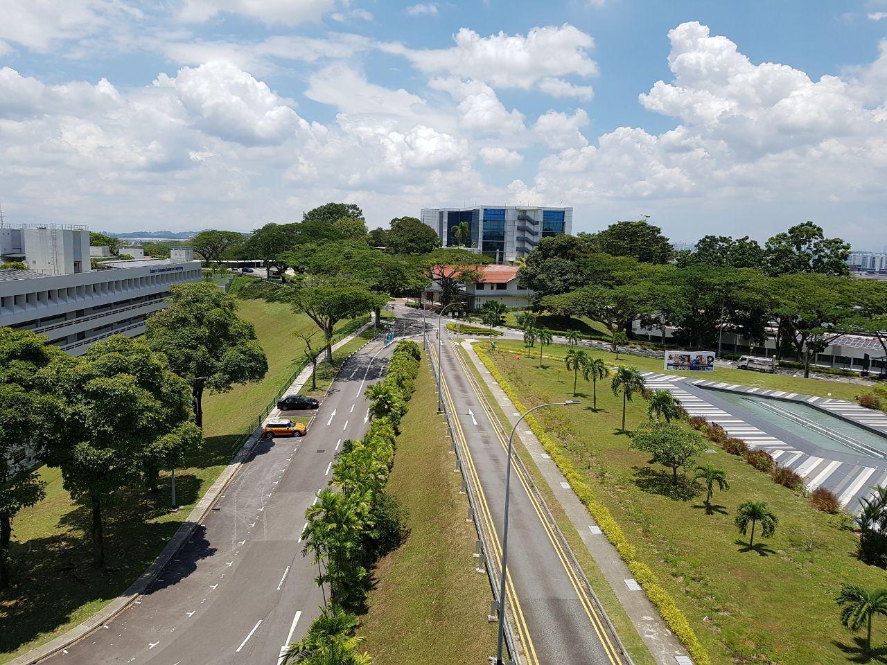 A picture of a university building from high up with roads and trees. Nice view.