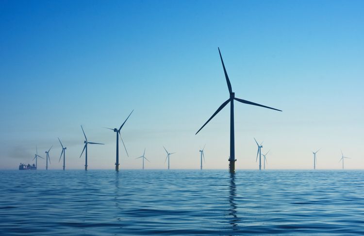What can you do about climate change? (Data-driven)